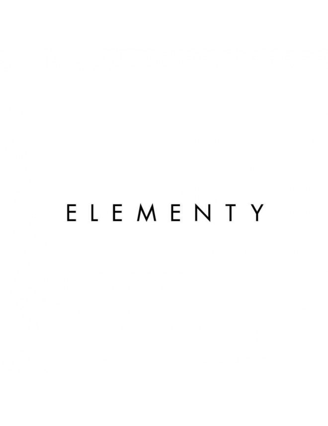 Elementy